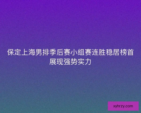 保定上海男排季后赛小组赛连胜稳居榜首展现强势实力